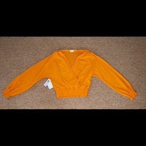 Aritzia Cropped Blouse